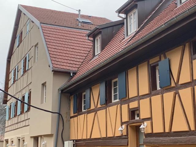 Coeur D'Alsace Colmar Vignobles Ouest Avec Terrasses Villa Wintzenheim Exterior photo