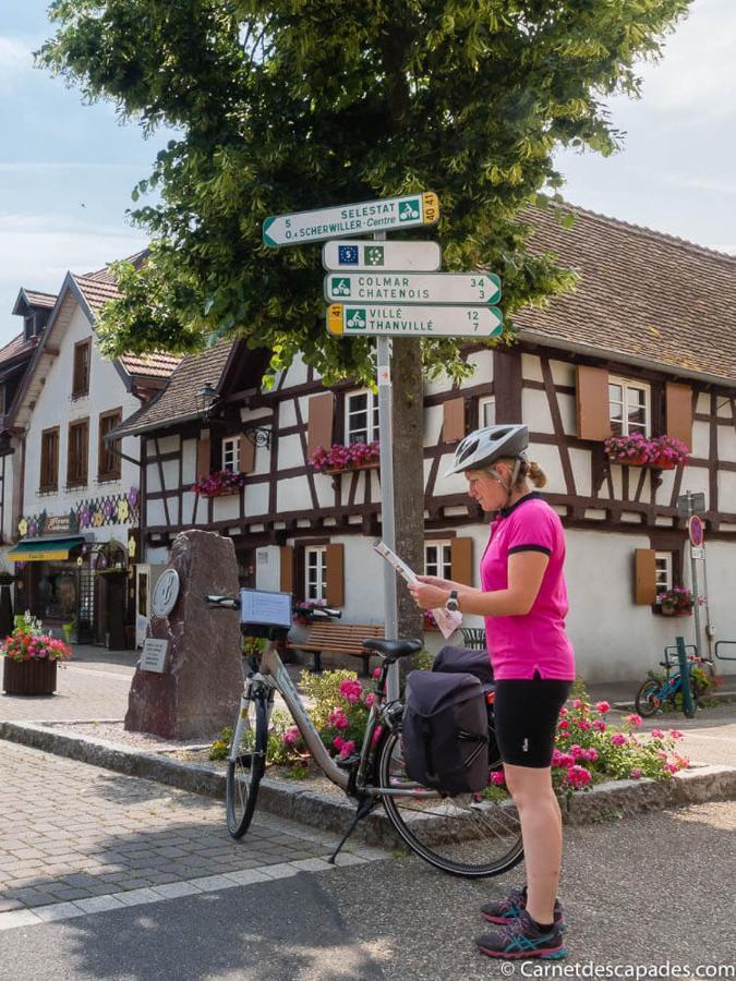 Coeur D'Alsace Colmar Vignobles Ouest Avec Terrasses Villa Wintzenheim Exterior photo