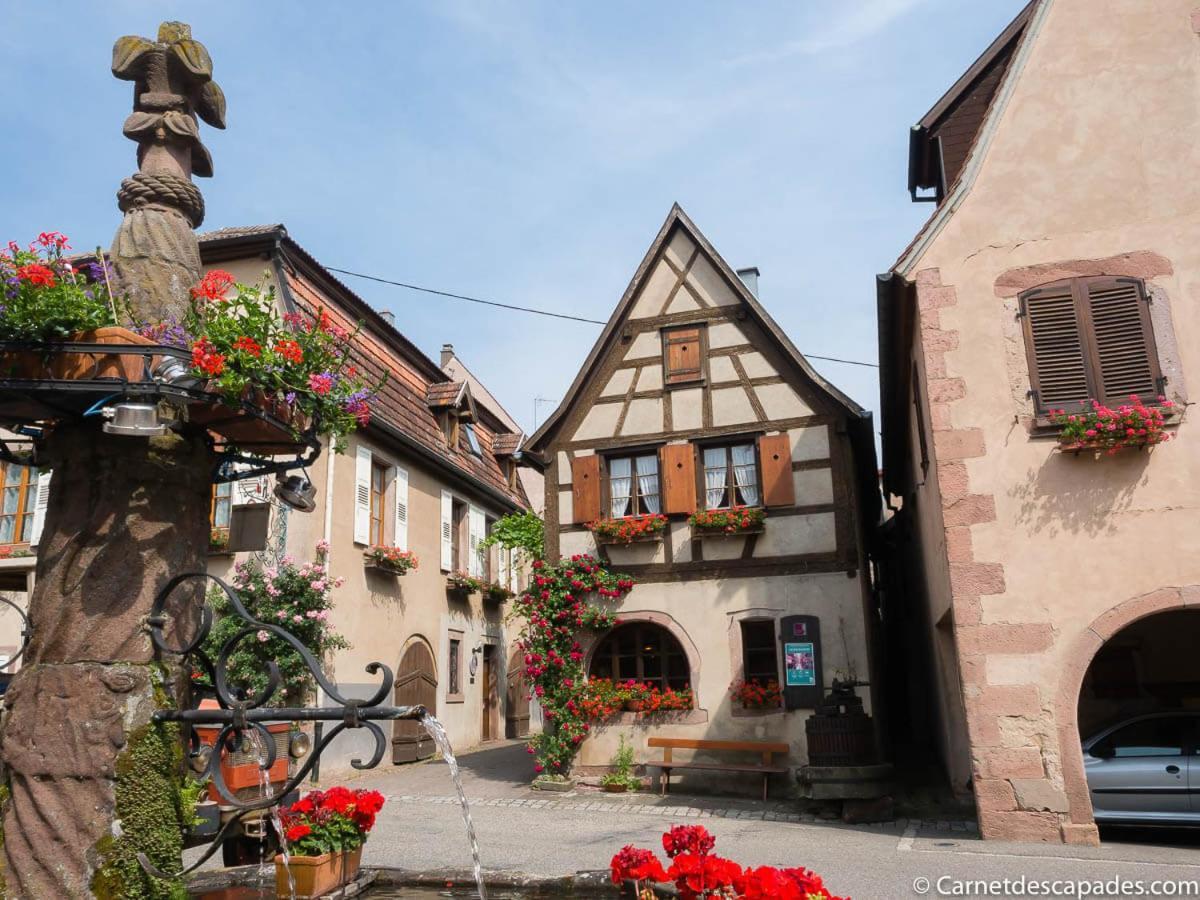 Coeur D'Alsace Colmar Vignobles Ouest Avec Terrasses Villa Wintzenheim Exterior photo