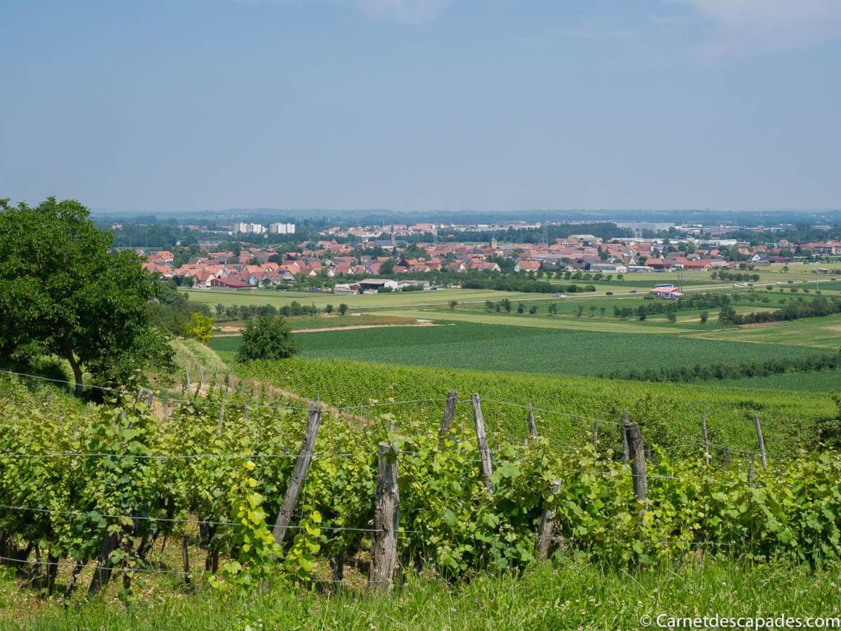 Coeur D'Alsace Colmar Vignobles Ouest Avec Terrasses Villa Wintzenheim Exterior photo