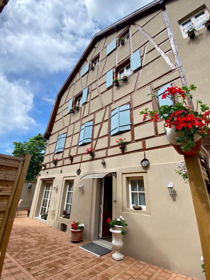Coeur D'Alsace Colmar Vignobles Ouest Avec Terrasses Villa Wintzenheim Exterior photo