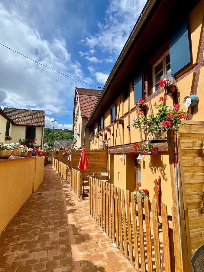 Coeur D'Alsace Colmar Vignobles Ouest Avec Terrasses Villa Wintzenheim Exterior photo