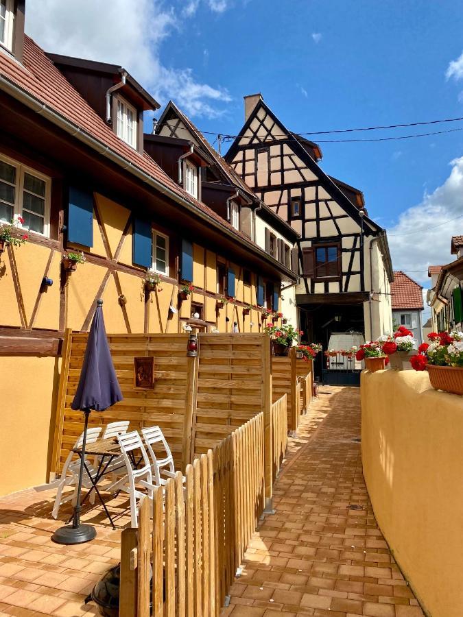 Coeur D'Alsace Colmar Vignobles Ouest Avec Terrasses Villa Wintzenheim Exterior photo