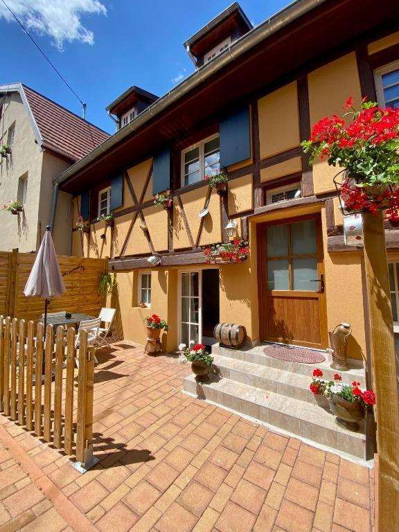 Coeur D'Alsace Colmar Vignobles Ouest Avec Terrasses Villa Wintzenheim Exterior photo