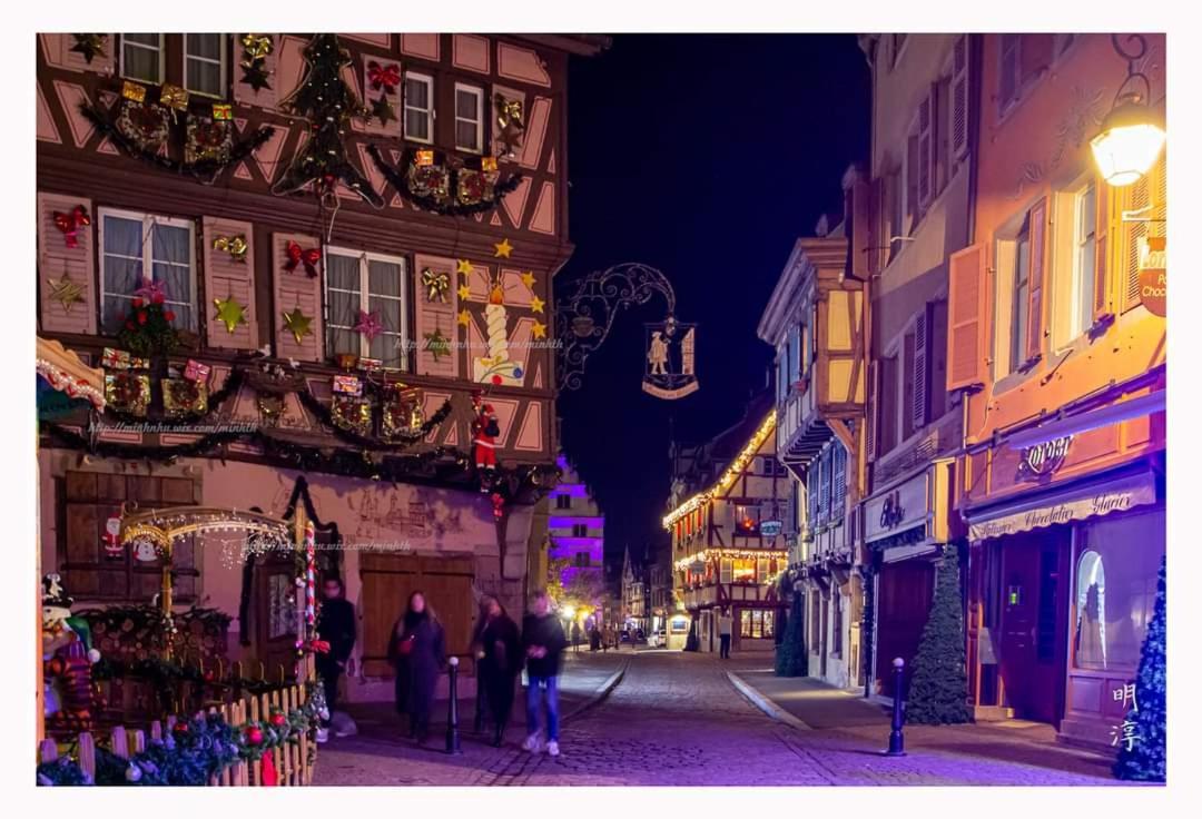 Coeur D'Alsace Colmar Vignobles Ouest Avec Terrasses Villa Wintzenheim Exterior photo