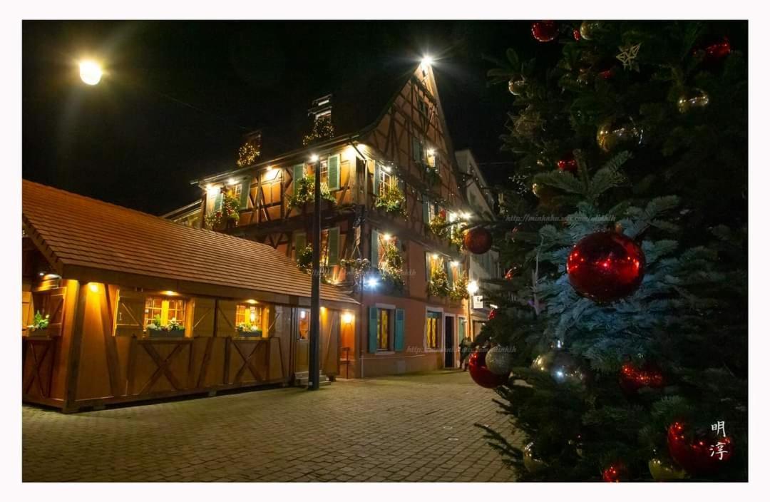 Coeur D'Alsace Colmar Vignobles Ouest Avec Terrasses Villa Wintzenheim Exterior photo