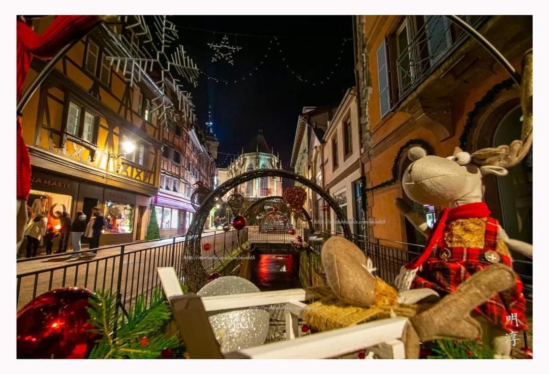 Coeur D'Alsace Colmar Vignobles Ouest Avec Terrasses Villa Wintzenheim Exterior photo