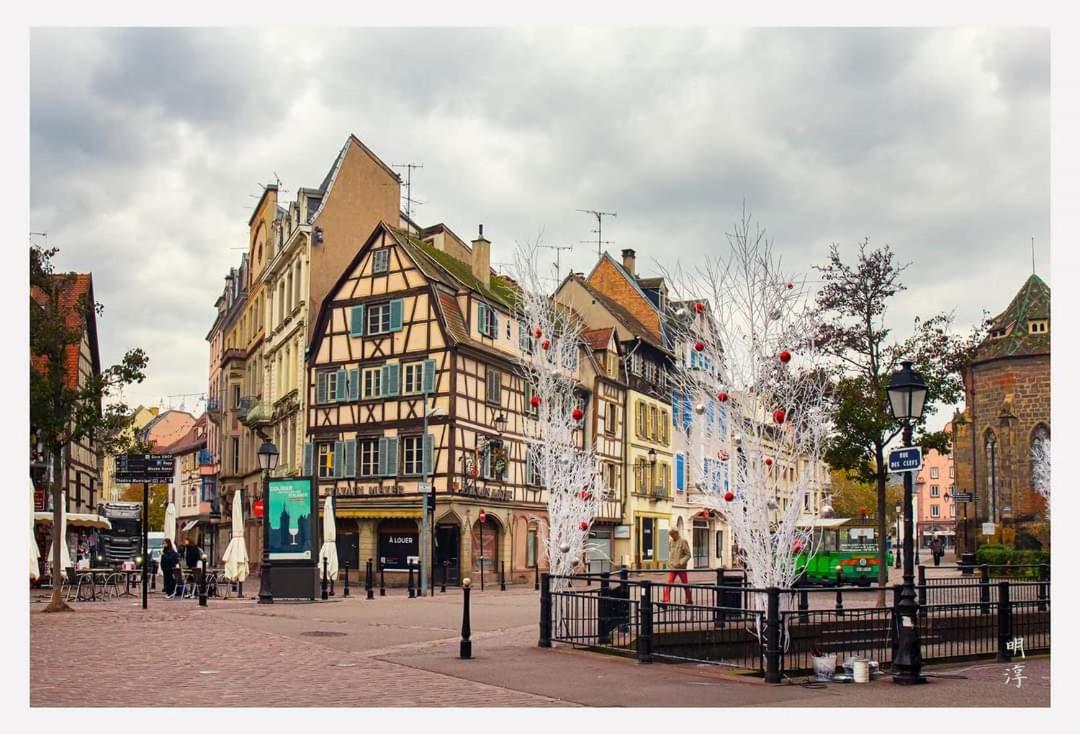 Coeur D'Alsace Colmar Vignobles Ouest Avec Terrasses Villa Wintzenheim Exterior photo